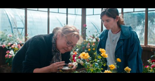 A premiada atriz Catherine Frot (“Marguerite”) lidera o elenco da comédia francesa Entre Rosas, dirigida por Pierre Pinaud